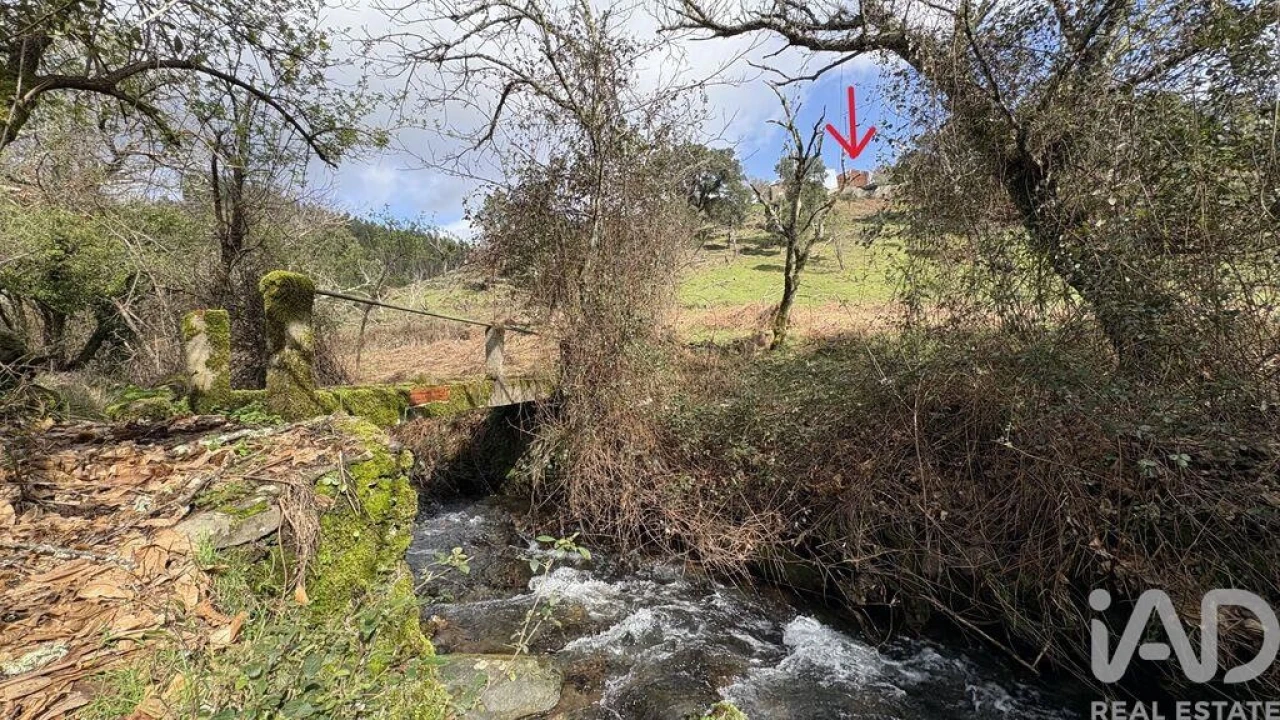 Moradia T3 para Venda em Campelo Foto 2