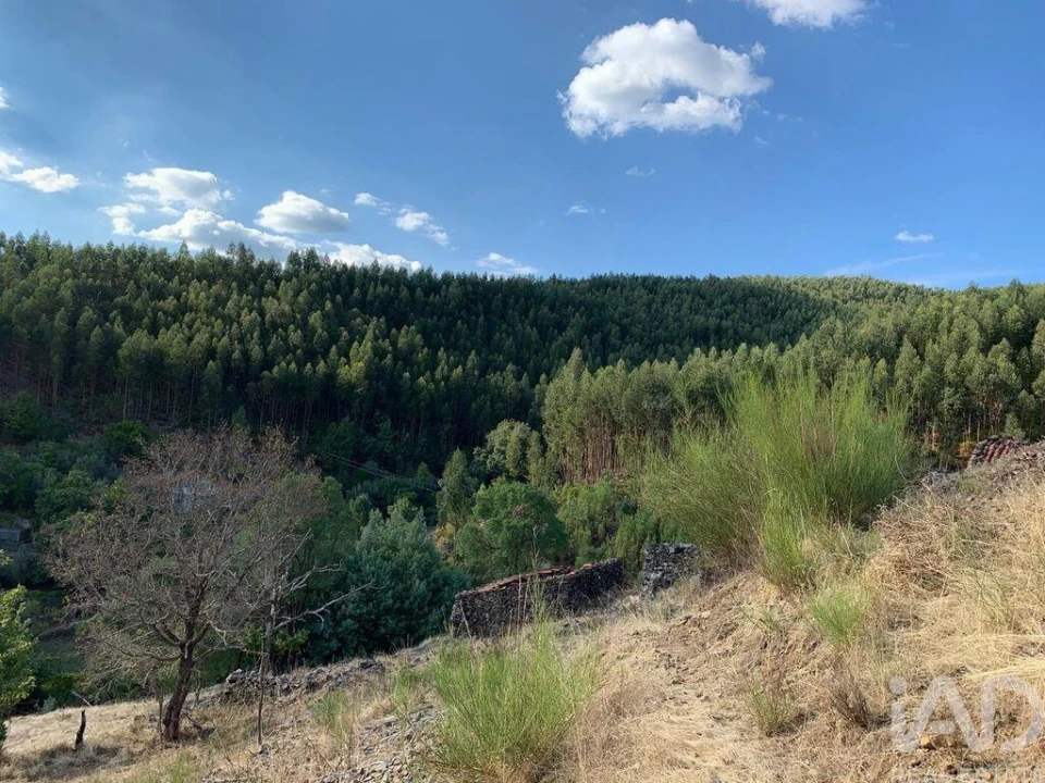 Moradia T3 para Venda em Campelo Foto 19