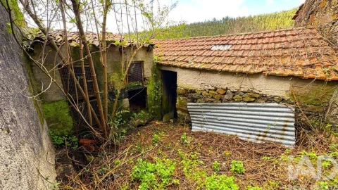 Moradia T3 para Venda em Campelo