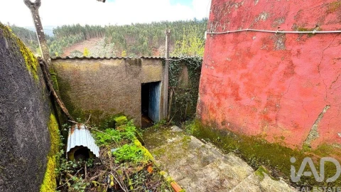 Moradia T3 para Venda em Campelo