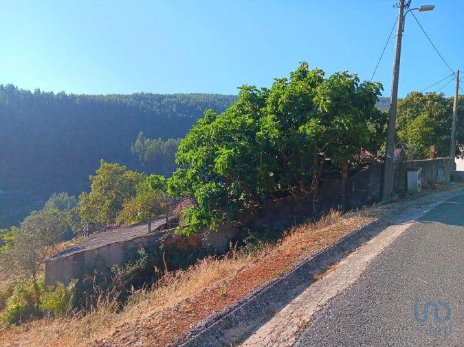 Moradia T3 para Venda em Campelo Foto 6