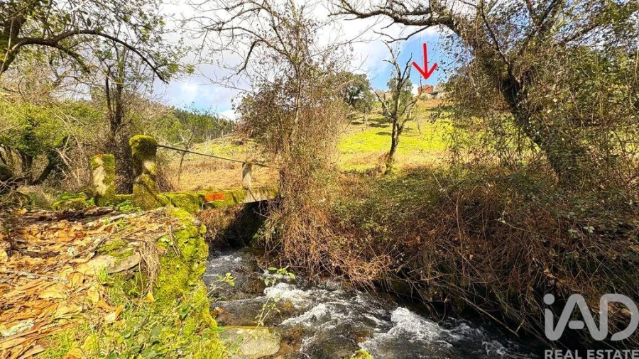 Moradia T3 para Venda em Campelo Foto 3