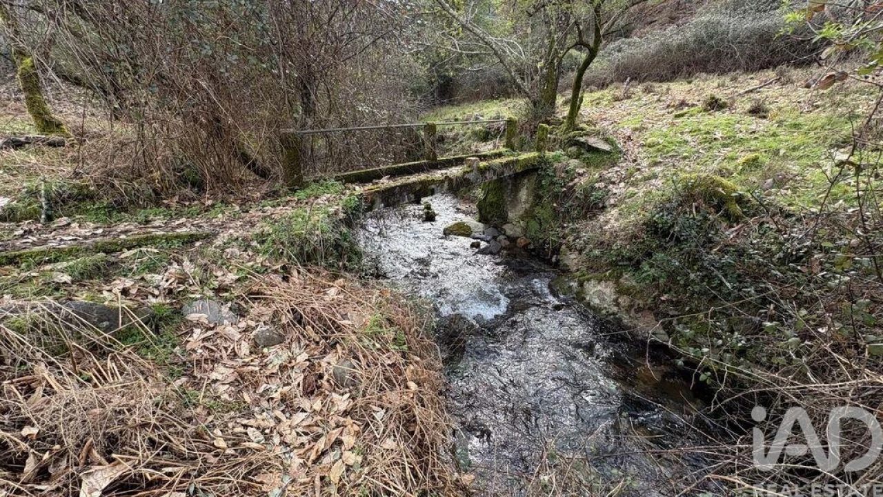 Moradia T3 para Venda em Campelo Foto 4