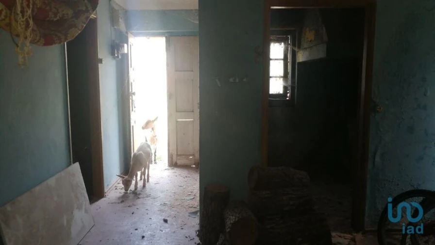 Moradia T4 para Venda em São Miguel, Santa Eufémia e Rabaçal Foto 13