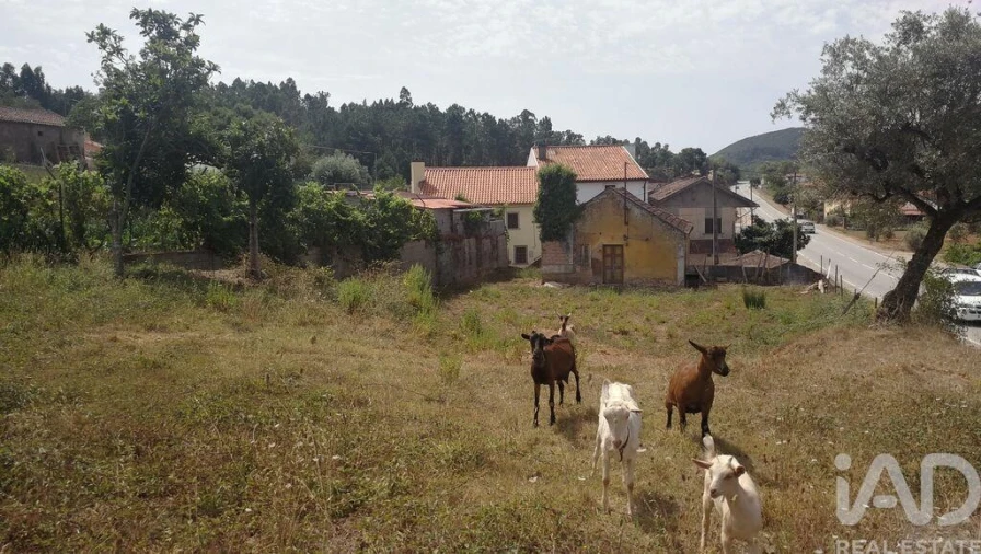 Moradia T4 para Venda em São Miguel, Santa Eufémia e Rabaçal Foto 28