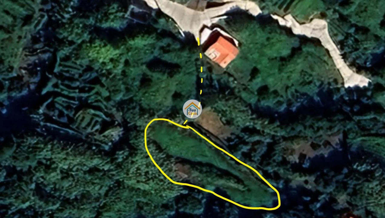 Terreno para Venda em Norte Grande (Neves) Foto 8