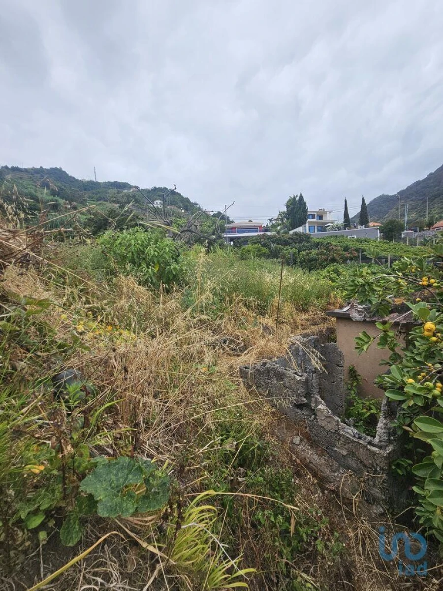 Moradia T3 para Venda em Porto da Cruz Foto 4