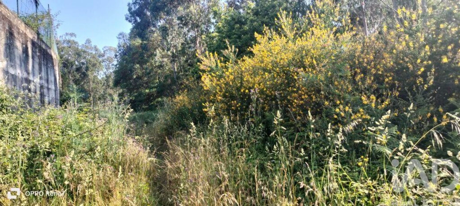 Terreno para Venda em Nogueira e Silva Escura Foto 12