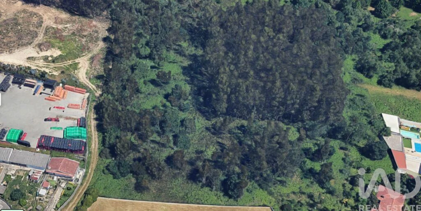 Terreno para Venda em Nogueira e Silva Escura Foto 15