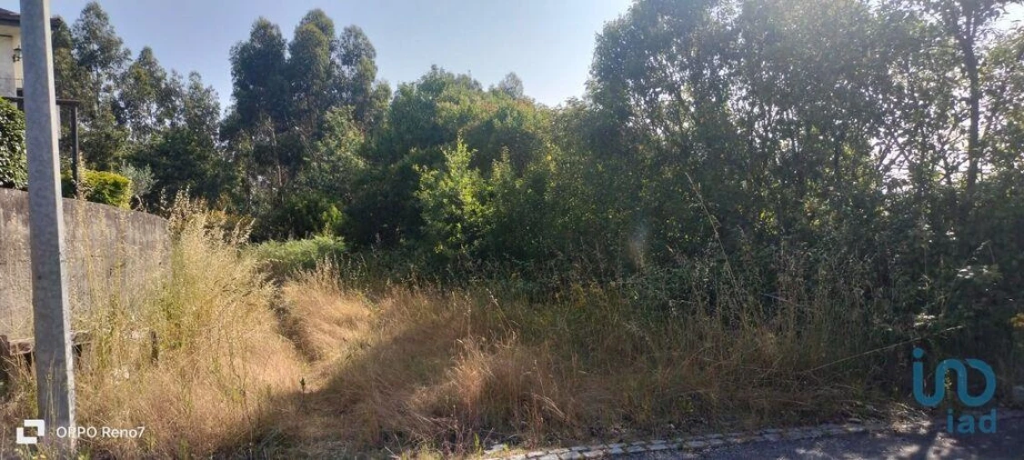 Terreno para Venda em Nogueira e Silva Escura Foto 6