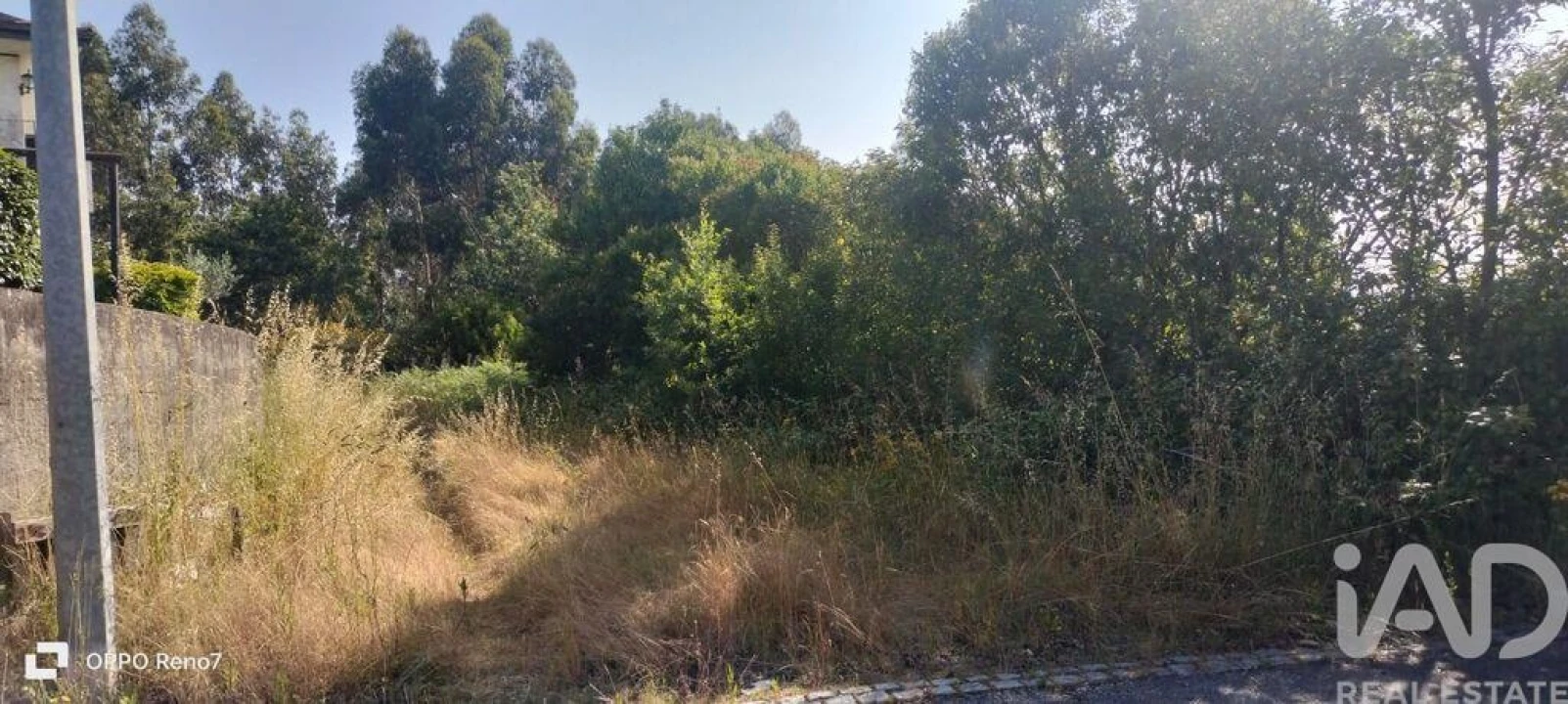 Terreno para Venda em Nogueira e Silva Escura Foto 6