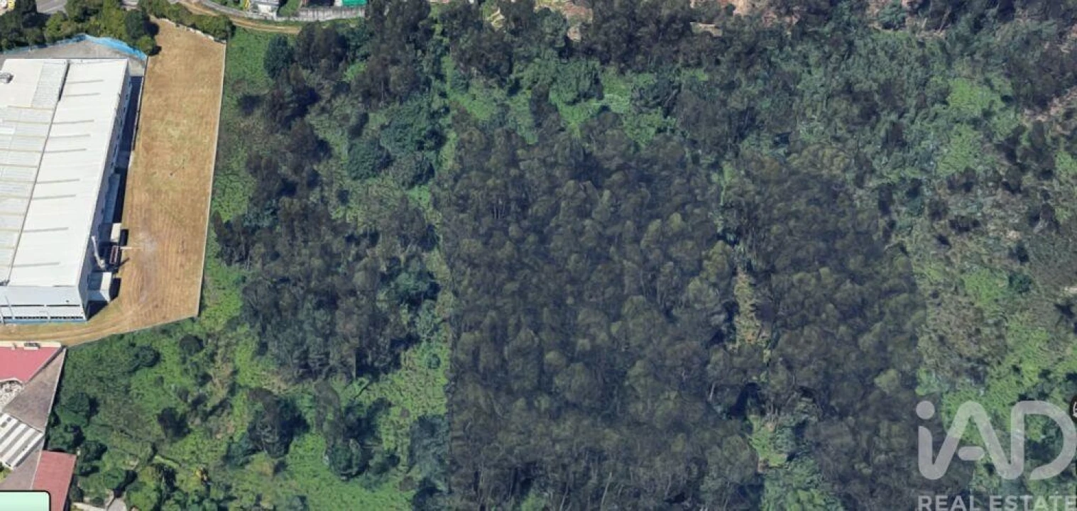 Terreno para Venda em Nogueira e Silva Escura Foto 17