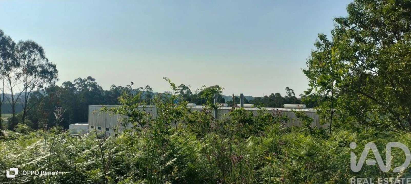 Terreno para Venda em Nogueira e Silva Escura Foto 13