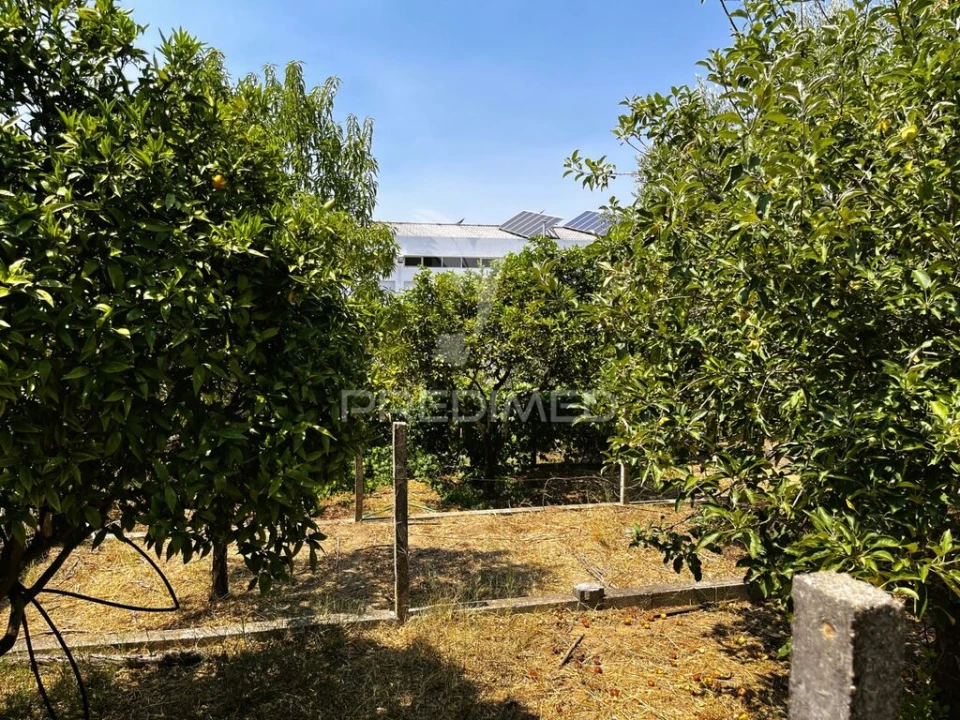 Armazém para Venda em Riachos Foto 11