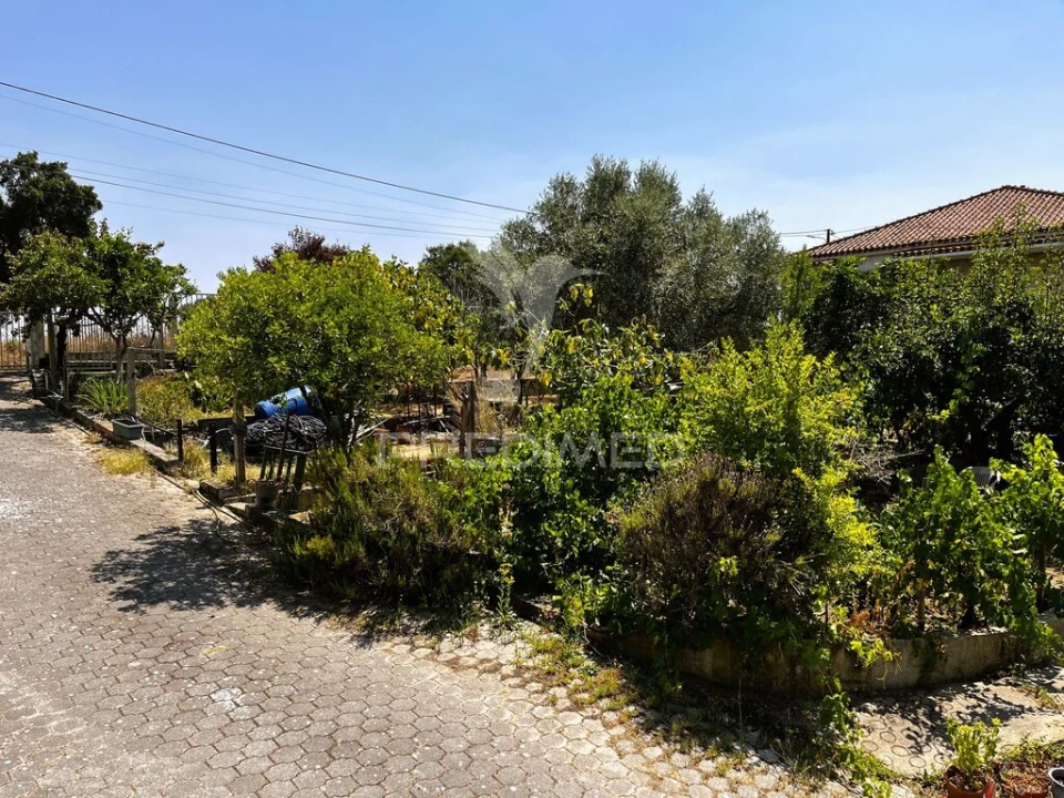 Armazém para Venda em Riachos Foto 9