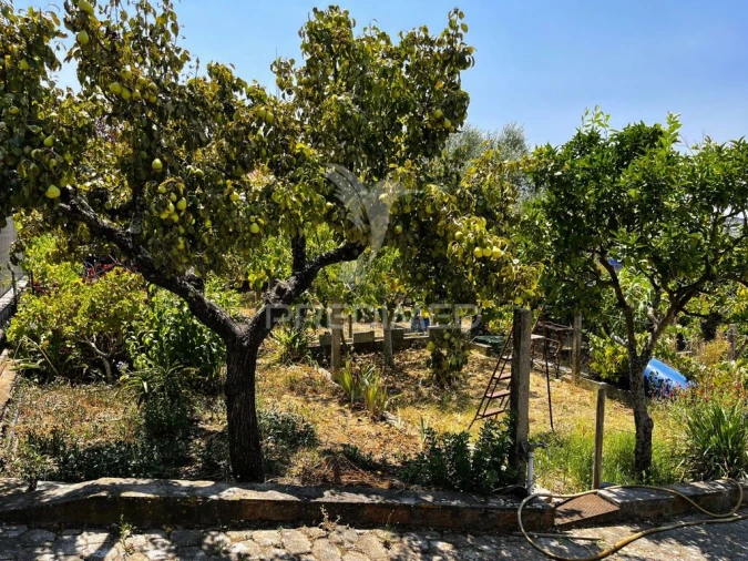 Armazém para Venda em Riachos Foto 10