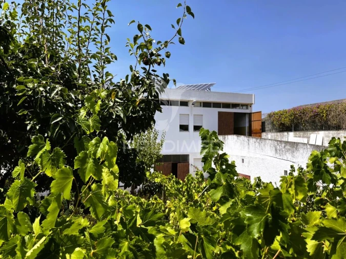 Armazém para Venda em Riachos Foto 6