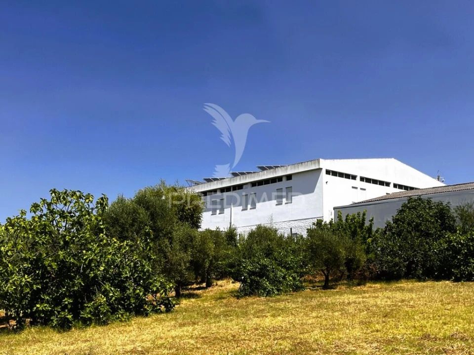 Armazém para Venda em Riachos Foto 12