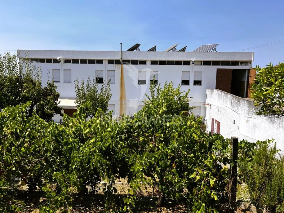 Armazém para Venda em Riachos Foto 5