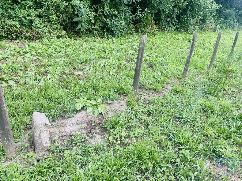 Terreno para Venda em Loivo Foto 7