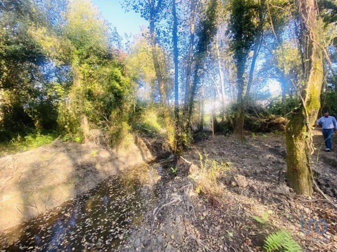 Terreno para Venda em Loivo Foto 12