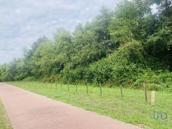 Terreno para Venda em Loivo Foto 3