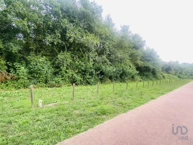 Terreno para Venda em Loivo Foto 5