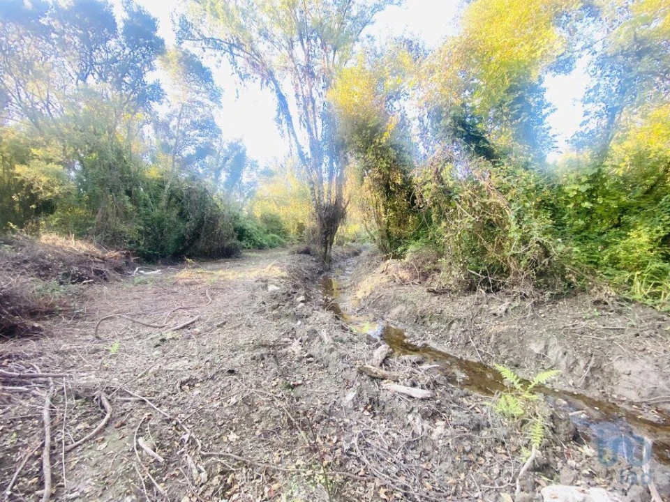 Terreno para Venda em Loivo Foto 11