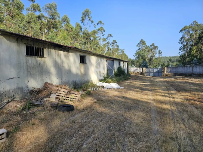 Armazém para Arrendamento em Anais Foto 10