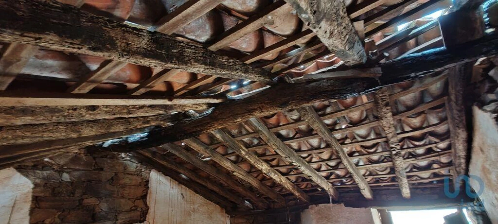 Moradia para Venda em Troviscal Foto 11