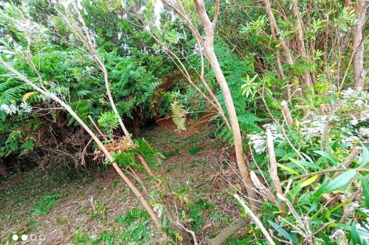 Moradia T2 para Venda em Manadas (Santa Barbara) Foto 17