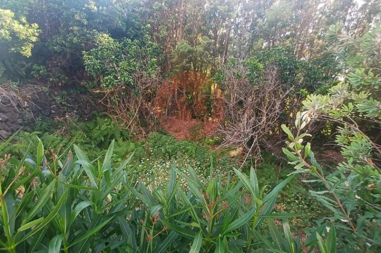 Moradia T2 para Venda em Manadas (Santa Barbara) Foto 23