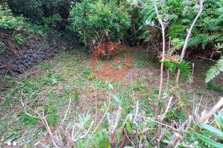 Moradia T2 para Venda em Manadas (Santa Barbara) Foto 18