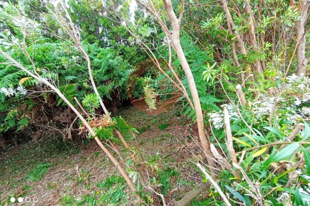 Moradia T2 para Venda em Manadas (Santa Barbara) Foto 17