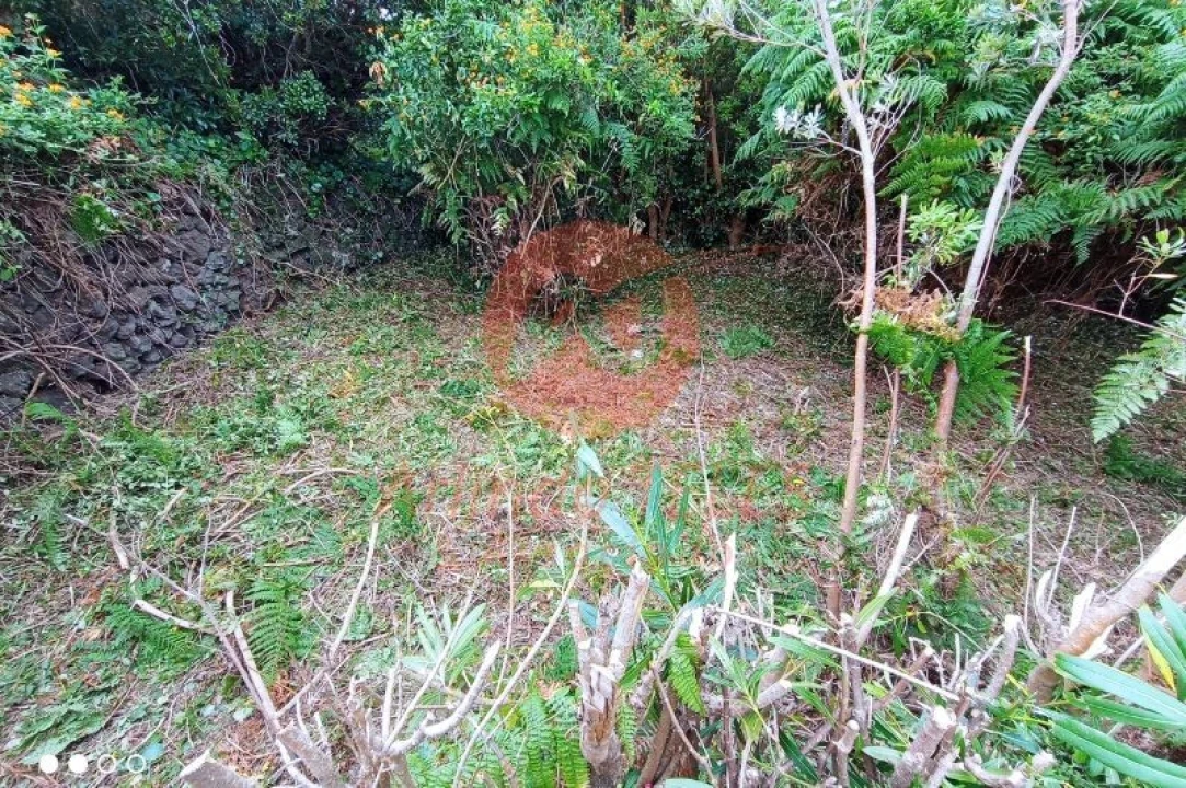 Moradia T2 para Venda em Manadas (Santa Barbara) Foto 18