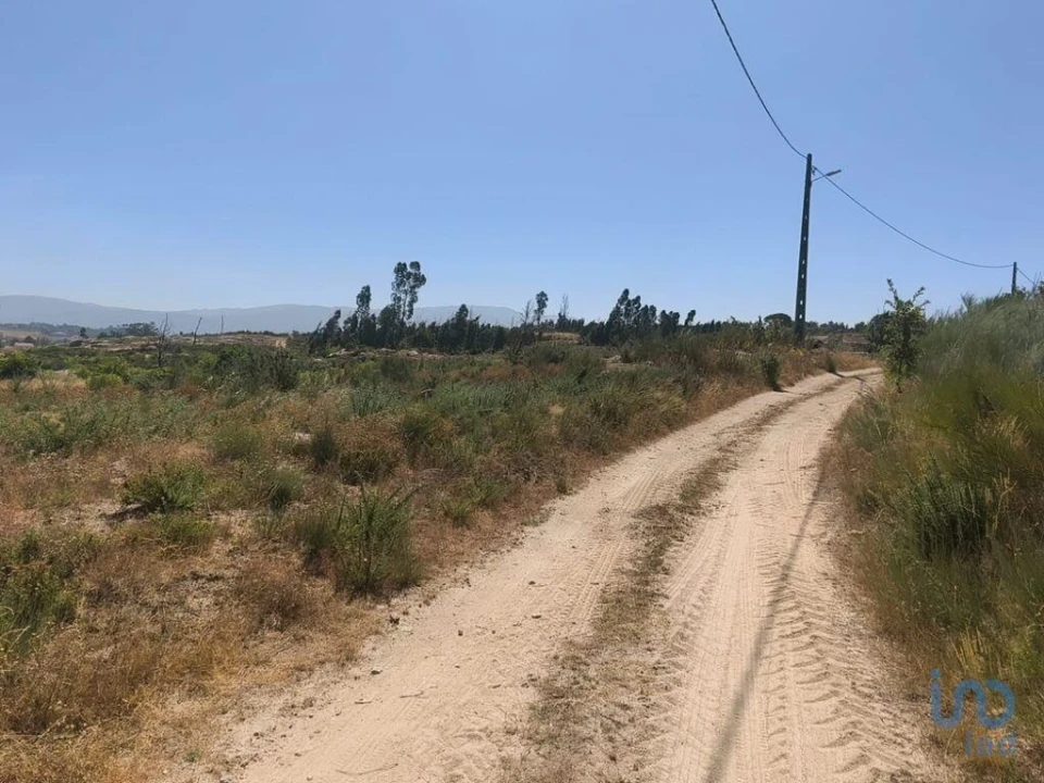 Terreno para Venda em Travancinha Foto 12