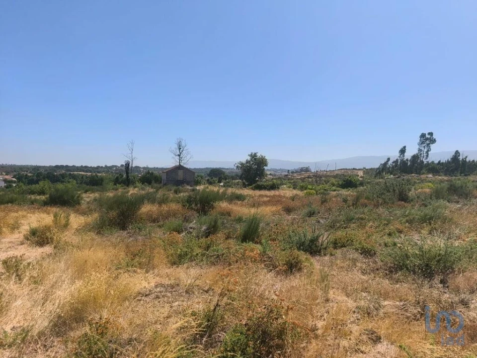 Terreno para Venda em Travancinha Foto 7