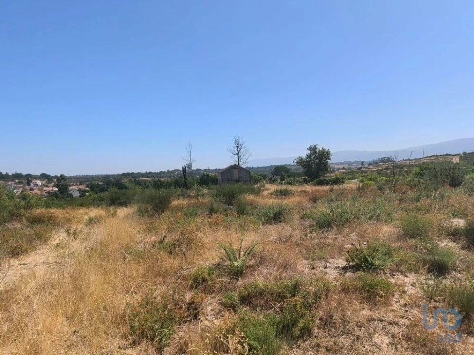 Terreno para Venda em Travancinha Foto 10