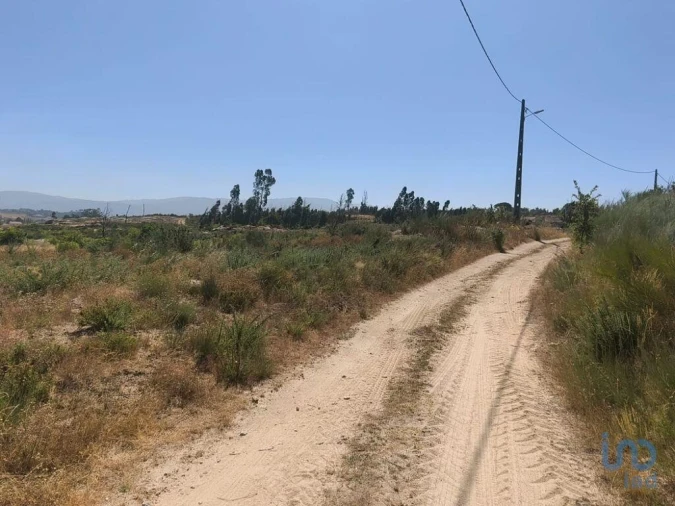 Terreno para Venda em Travancinha Foto 12