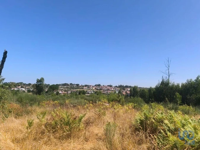 Terreno para Venda em Travancinha Foto 2