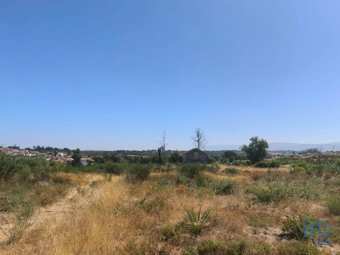 Terreno para Venda em Travancinha Foto 8