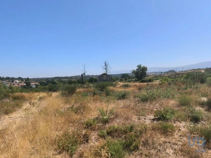 Terreno para Venda em Travancinha Foto 10