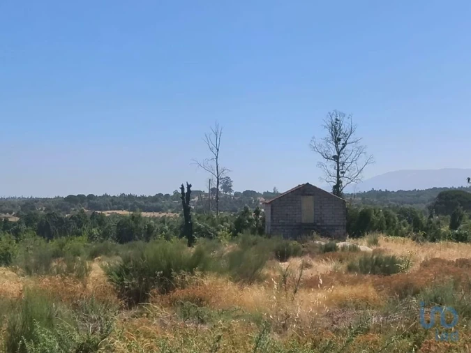Terreno para Venda em Travancinha Foto 13