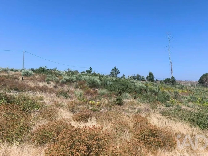 Terreno para Venda em Travancinha Foto 21