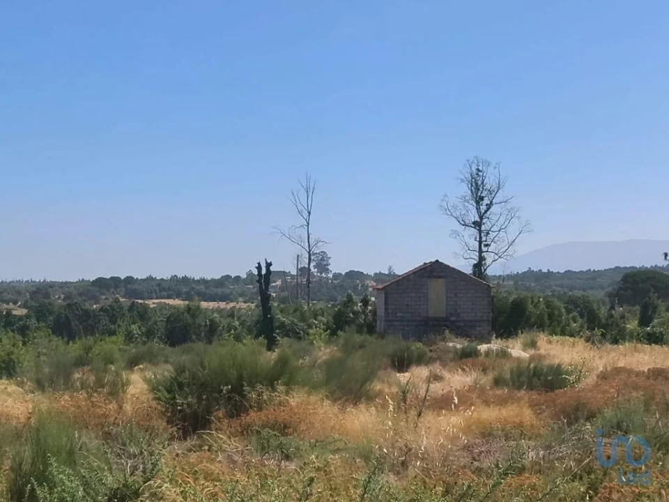 Terreno para Venda em Travancinha Foto 13