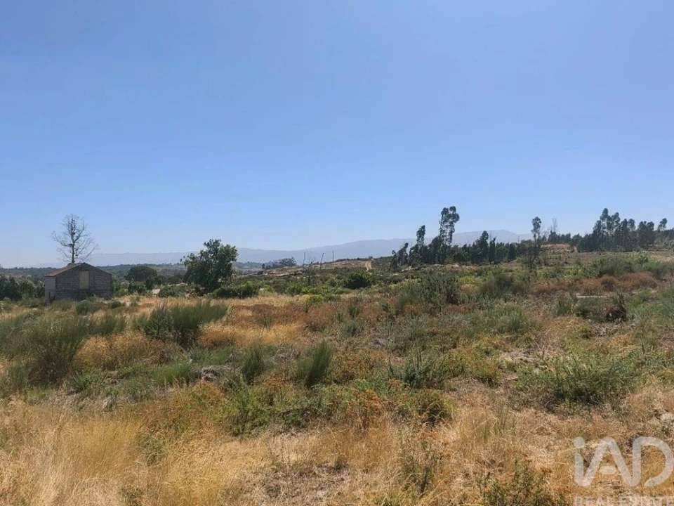 Terreno para Venda em Travancinha Foto 18