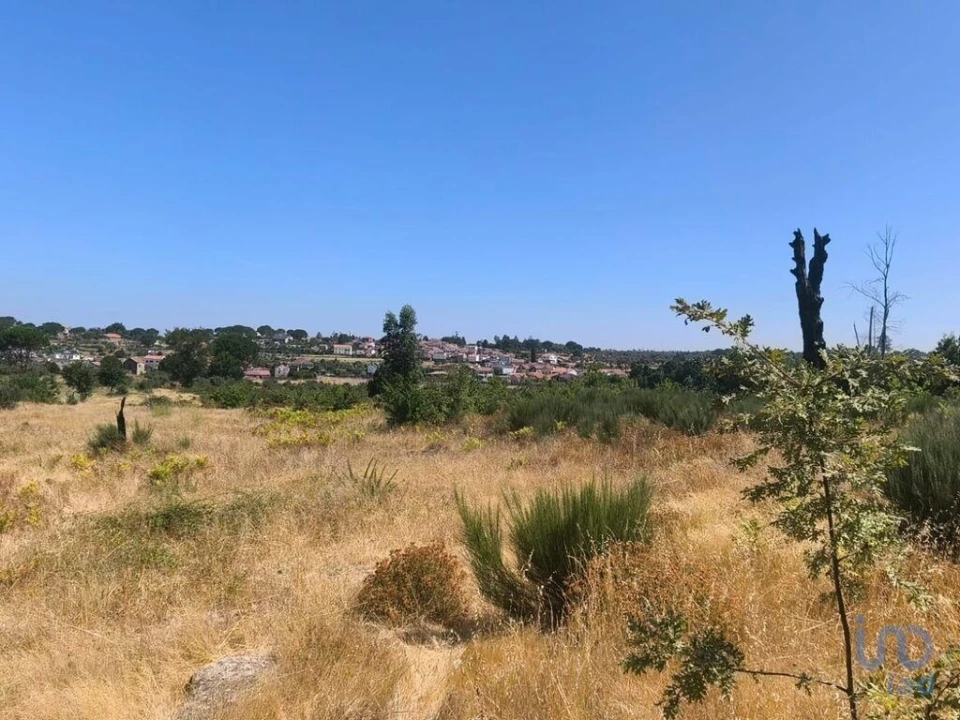 Terreno para Venda em Travancinha Foto 14