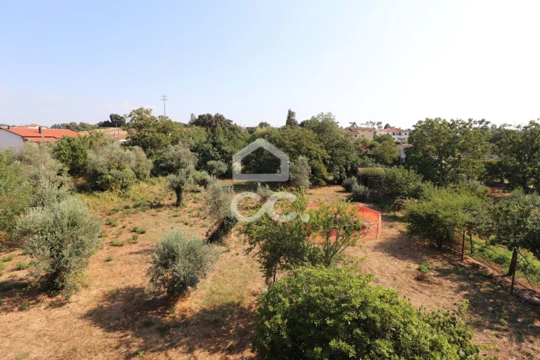 Moradia T4 para Venda em Avelar Foto 10