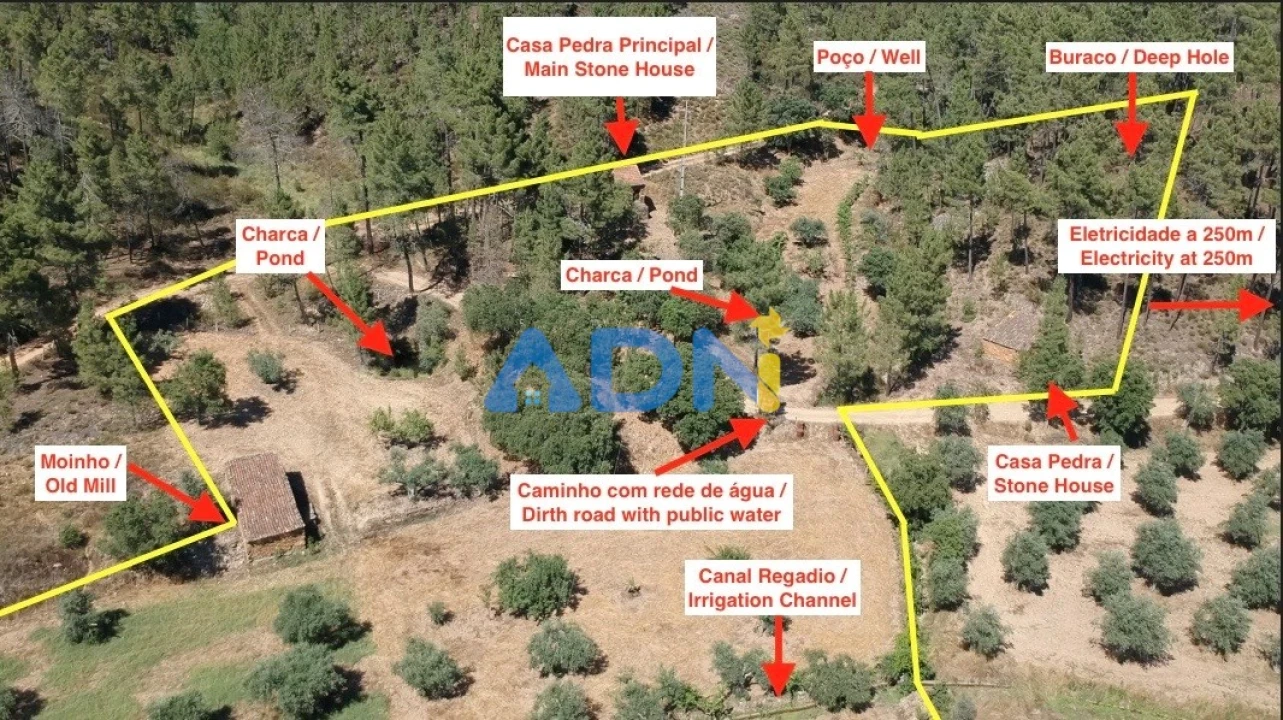 Terreno para Venda em Sarzedas Foto 2