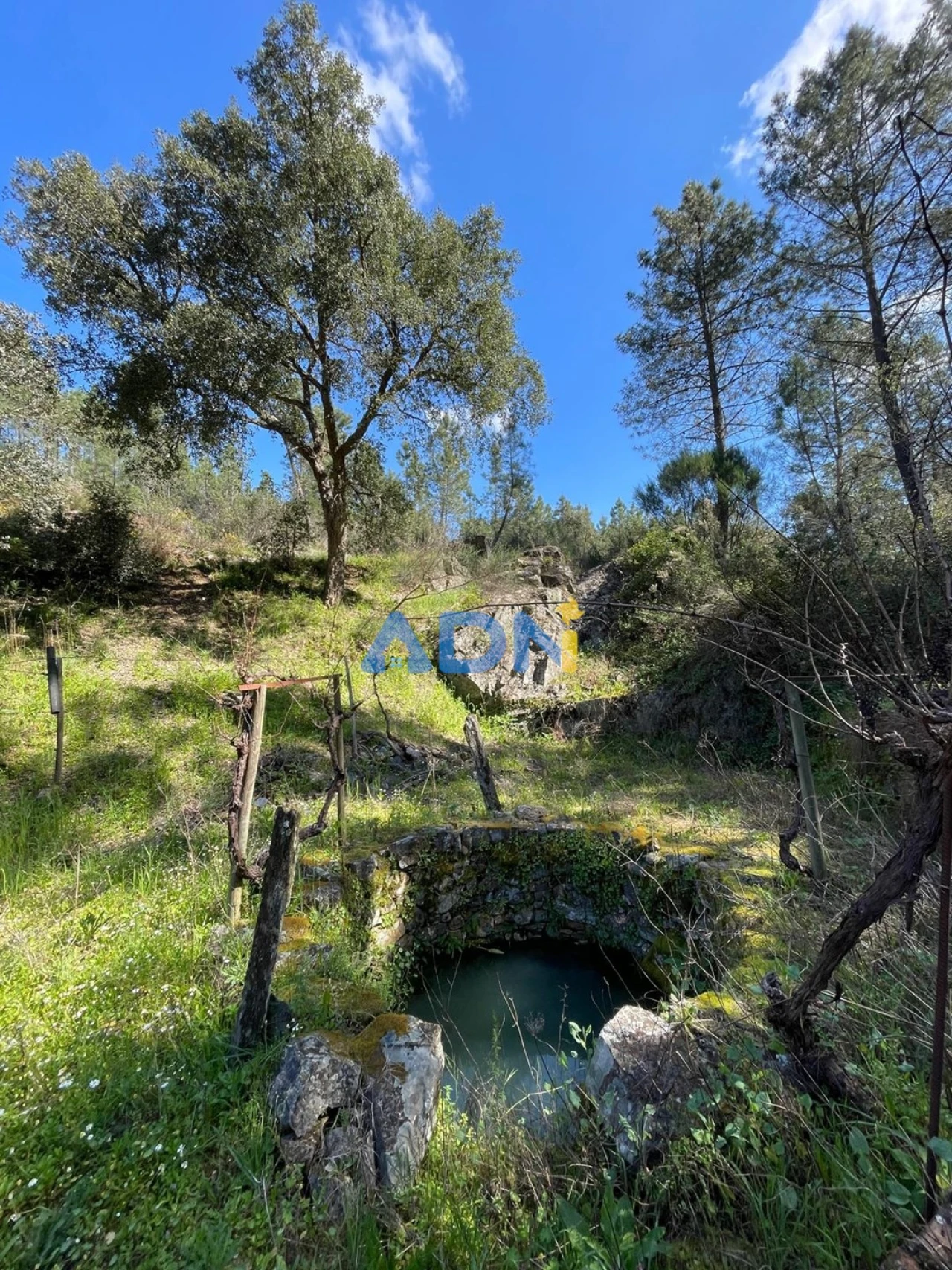 Terreno para Venda em Sarzedas Foto 75